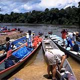 Suriname Tour Infos: Motorboote motorboote