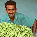 Suriname Tour Infos: Marktmann mit Bohnen Marktmann_Bohnen_